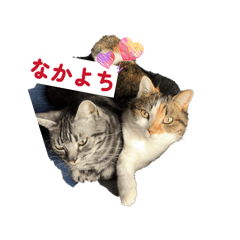 Higemaru_20251220074052