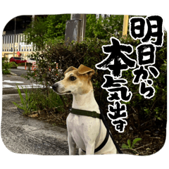 torajiro_20251220073349