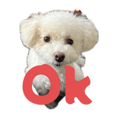 いつでも使える可愛い犬のスタンプ