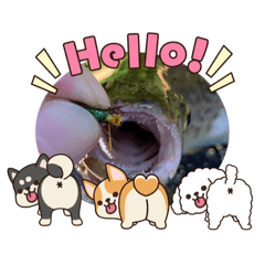 AICHAN_20251220095719