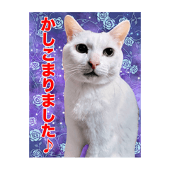 Mitaderaaaaano_20251220133927