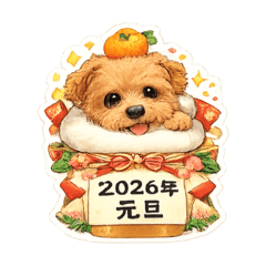 namchi._20251220103209