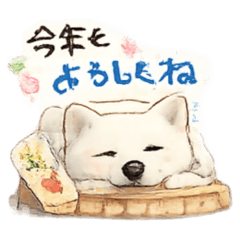 Erina_20251220102747