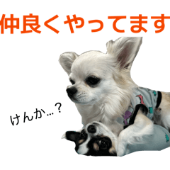 maimai_20251220104427