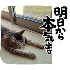 M-SAN_20251220140429