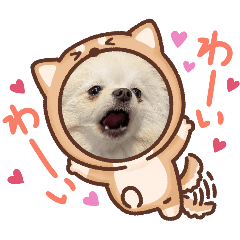 ayumi_20251220113112