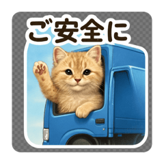 ainyan_20251220115054