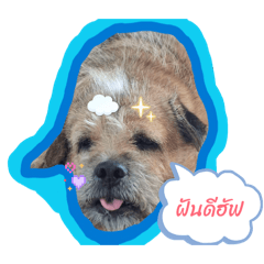 SAPBOY_20251219190810