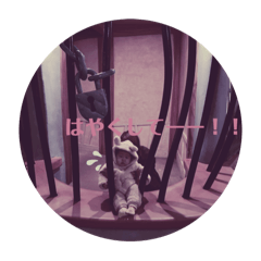 kurumi_20251220122743