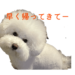 rice ball_20251220123521