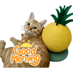 EMAYAN_20251220122545