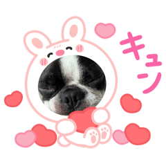 Saitou Amane_20251220130544