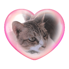 What!!?_20251219213358