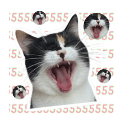 Babeannu_20251220035945