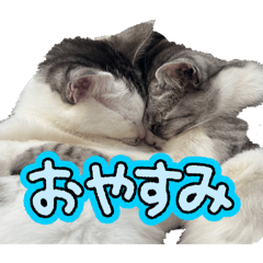 Yuuuuu_20251220152738