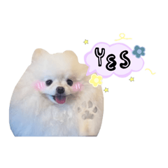 Miffy loves flowers!!!