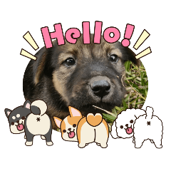 daily life_20251220112607