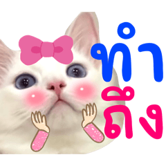 Venus_20251220113610