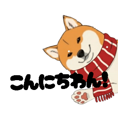 chiiraa_20251220163303