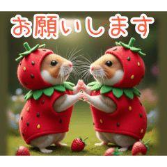 PAKAMOGOLY_20251220162454