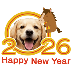 ゴールデンレトリバー　正月