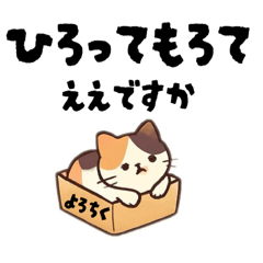 Mary rose25_20251221090536