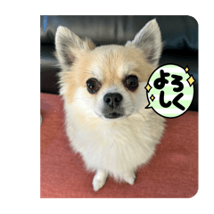 rei_2025tuki