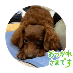 Kaorumama_20251220154130