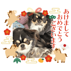 dai_paru_20251220155126