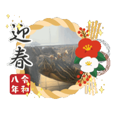 Micho_20251220170952