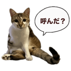 sanochan_20251220154800