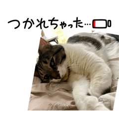 kanakana_20251220155251