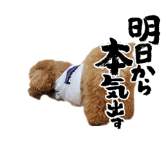 coco family_20251220155205