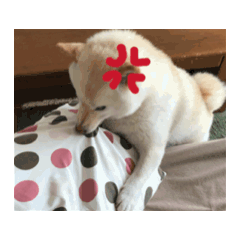 Kohana_20251220172932