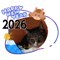 norachan_20251220174127