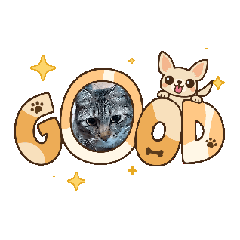 mikan_20251220191903