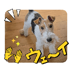 Nozomi_20251220190847