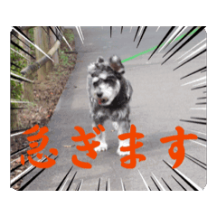 @MASA_20251220193423