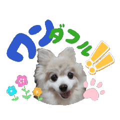 TOSSAN_20251220194411