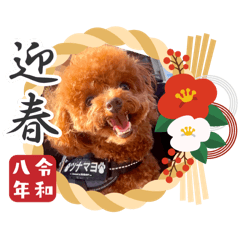 tsunamayo_20251220174248