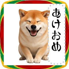 Shiba Inu and New Year's! Free Message