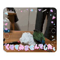 yomomo_20251220195247