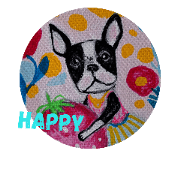 Happy bostonterrier