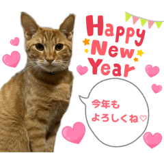 kaorin.117_20251220175035