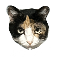 Saitosan_20251220175056