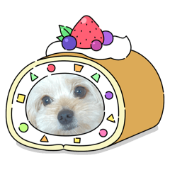 Belle-Chan_20251220205356