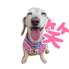 tiara_20251220210034