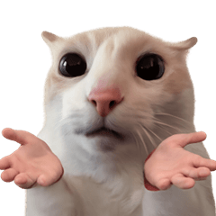 Silly Goofy Dip Catto