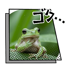 chihiro_20251220164722