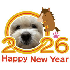 kimie_20251220165823